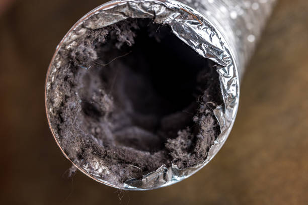 Professional Airduct Cleaning in Iowa, LA